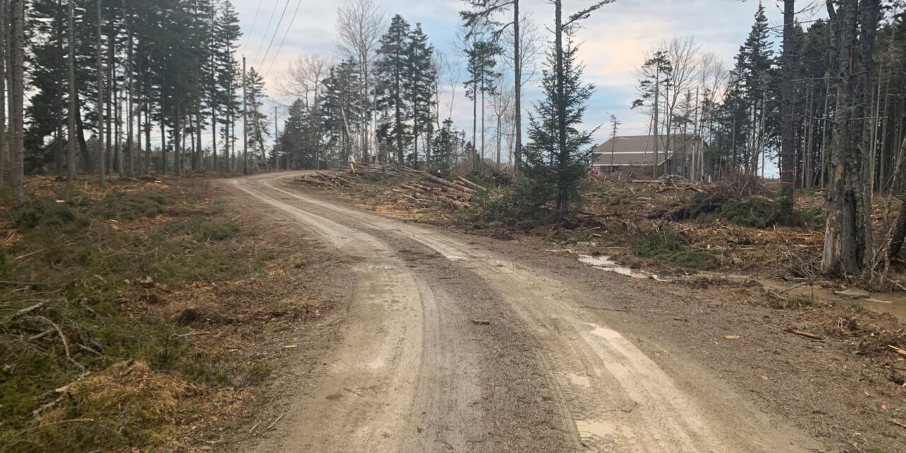 2023 New Year Updates at Ocean Spray Cottages
