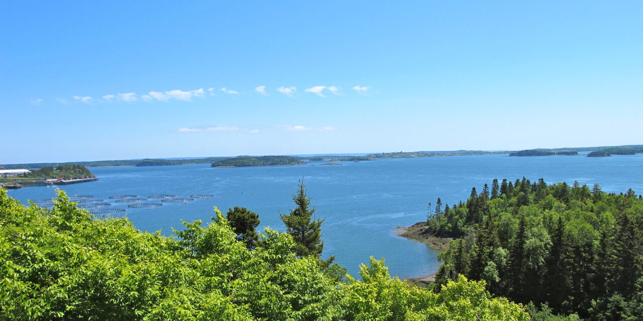 Shackford Head State Park in Eastport, Maine