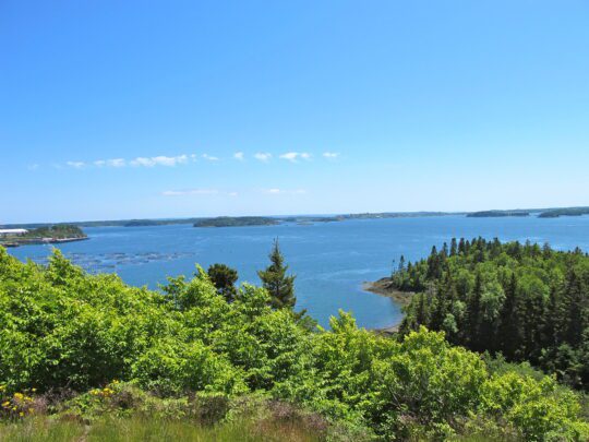 Cobscook Bay State Park - Exploring Downeast Maine - Ocean Spray Cottages