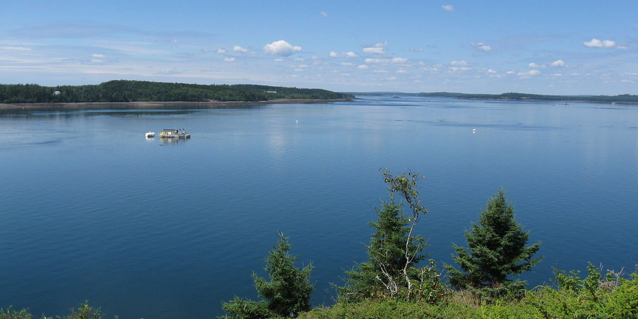 Cobscook Bay State Park – Exploring Downeast Maine