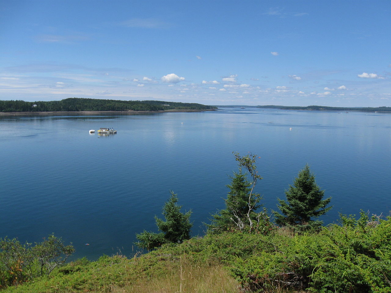 Cobscook Bay State Park - Exploring Downeast Maine - Ocean Spray Cottages